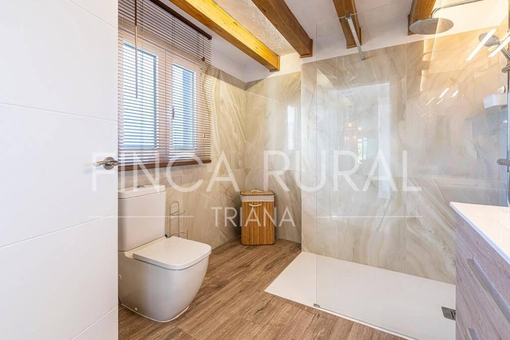 سانتا كروز دي تينيريف Finca Rural Triana المظهر الخارجي الصورة